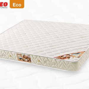 saltaev eco amb